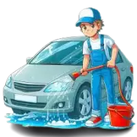 تنظيف السيارات فى الولايات المتحدة