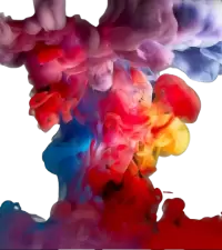 تصاميم إبداعية فى الولايات المتحدة
